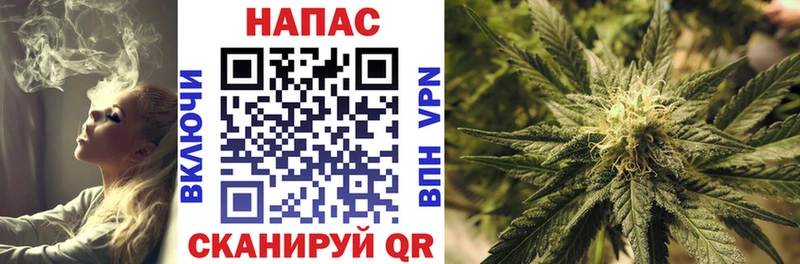Конопля AK-47  где продают   Заринск 